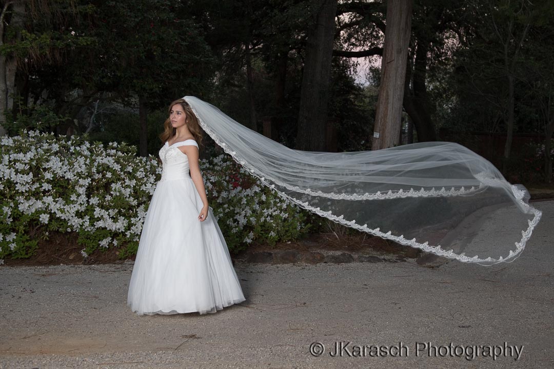 Bride with Flowing Veil