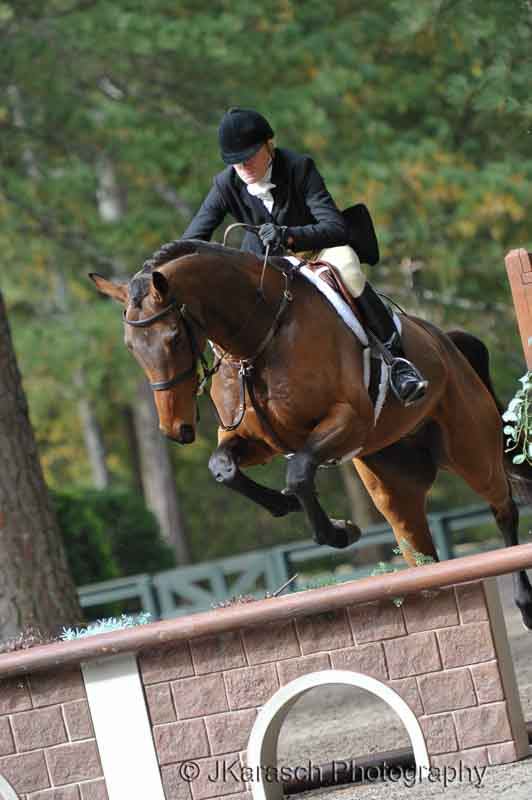 Equestrian Action-10