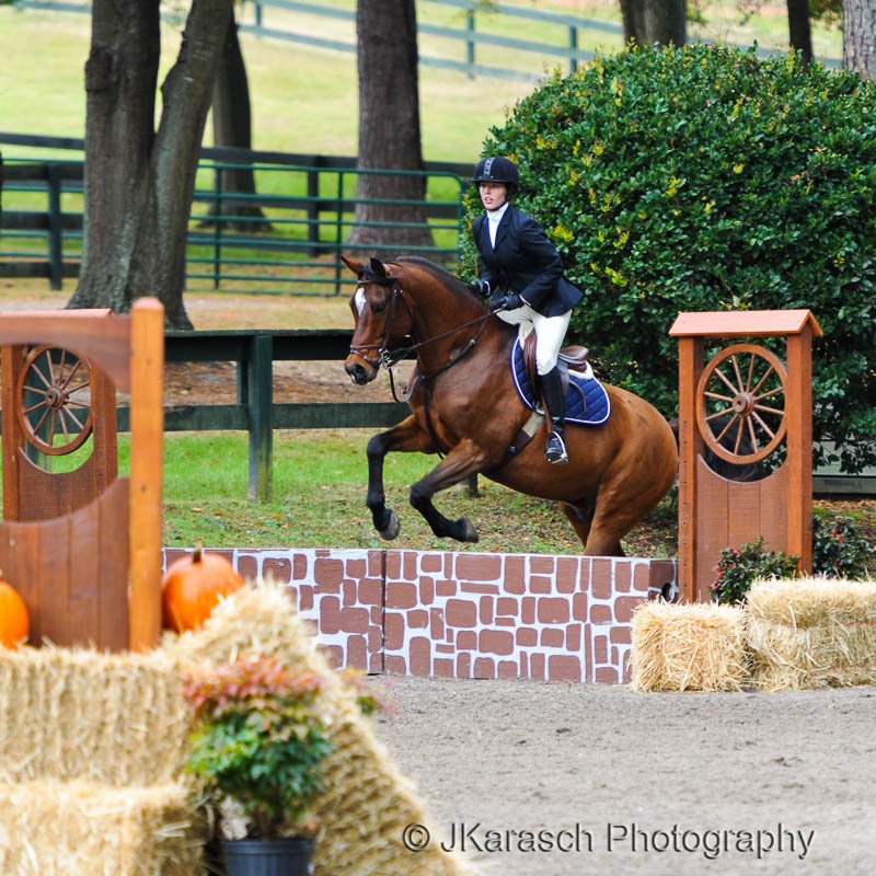 Equestrian Action-12